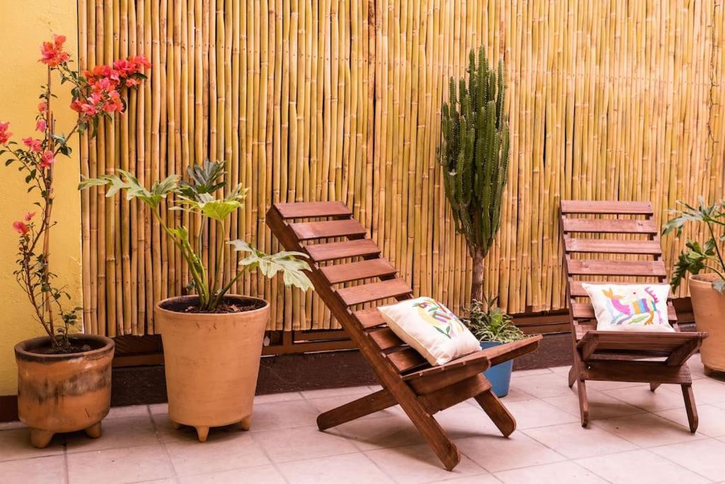 3 Bd House Steps From Santo Domingo Daire Oaxaca Dış mekan fotoğraf