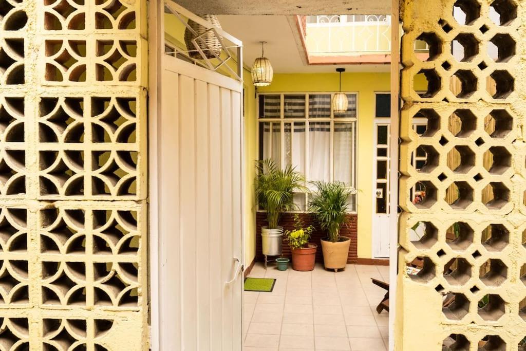 3 Bd House Steps From Santo Domingo Daire Oaxaca Dış mekan fotoğraf