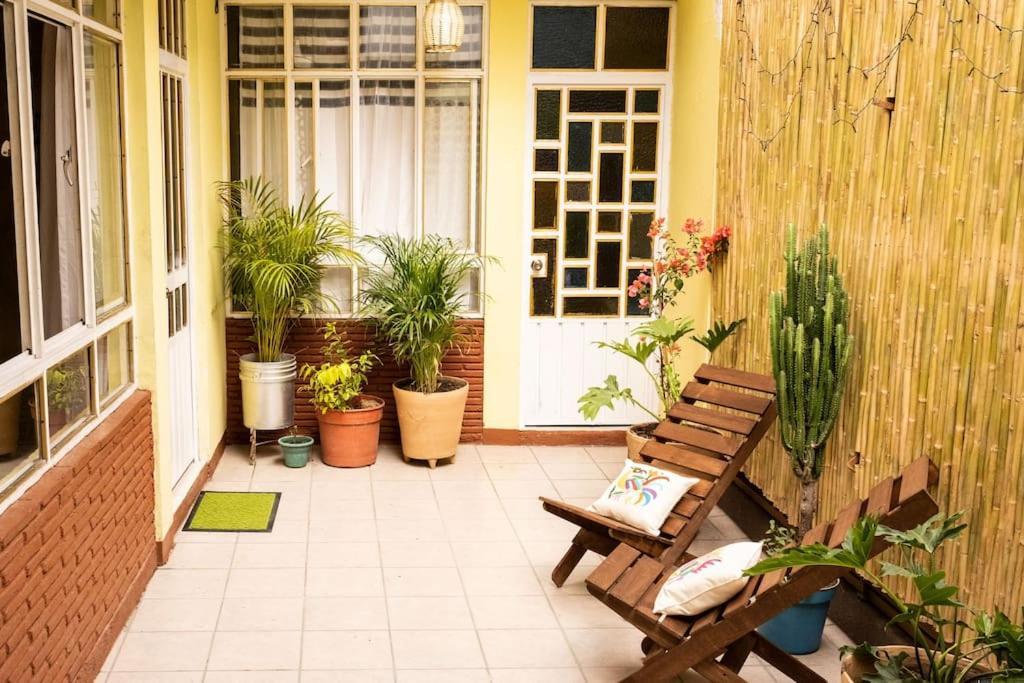 3 Bd House Steps From Santo Domingo Daire Oaxaca Dış mekan fotoğraf