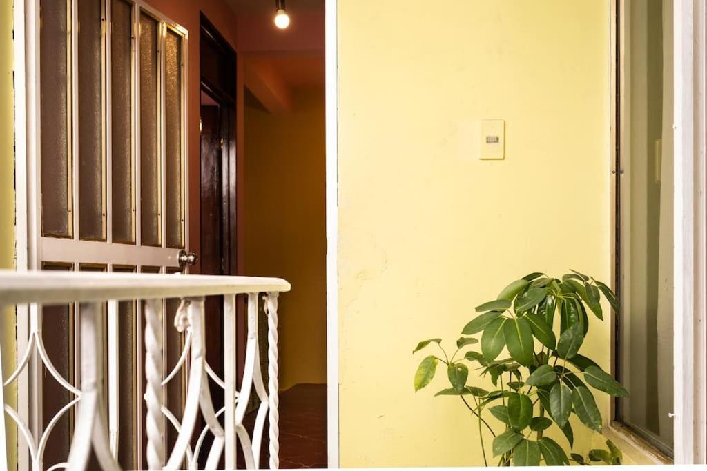 3 Bd House Steps From Santo Domingo Daire Oaxaca Dış mekan fotoğraf
