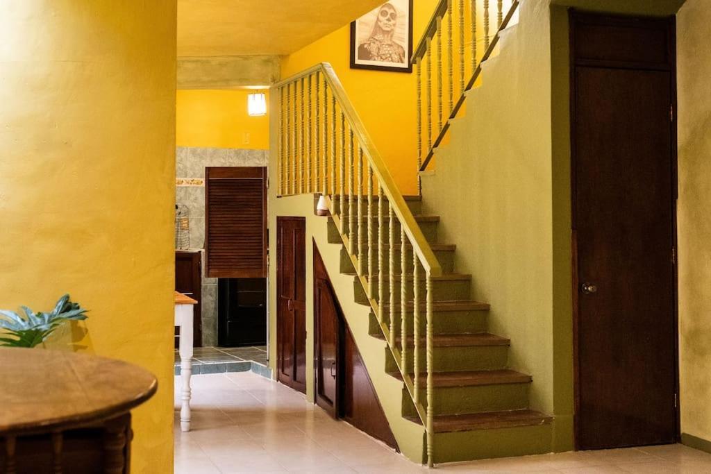 3 Bd House Steps From Santo Domingo Daire Oaxaca Dış mekan fotoğraf